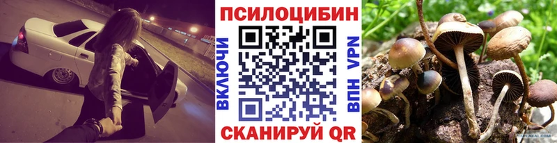 Псилоцибиновые грибы Magic Shrooms  Купить закладки  Югорск 