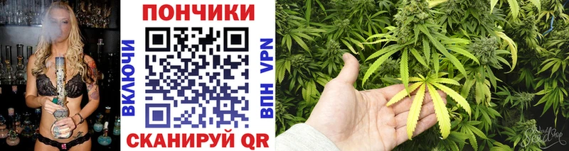 Канабис сатива Югорск