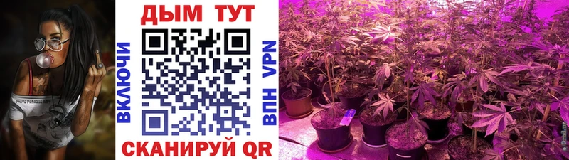 Купить  Югорск  Бошки Шишки гибрид 